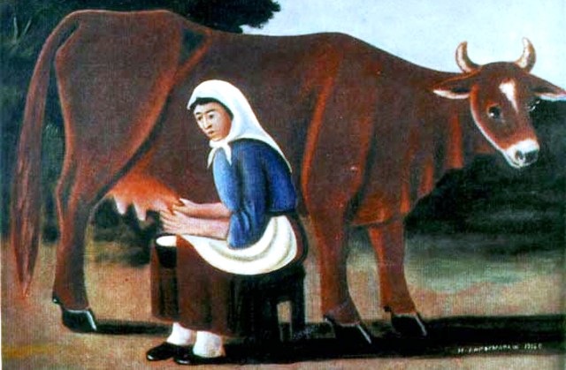 zena koja muze kravu