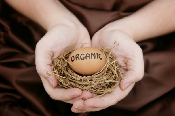 A_organic_egg
