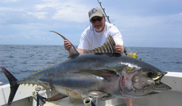 velika tuna